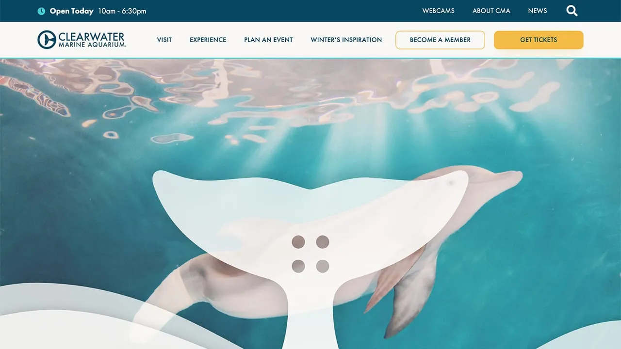 Clearwater Marine Aquarium website screenshot
